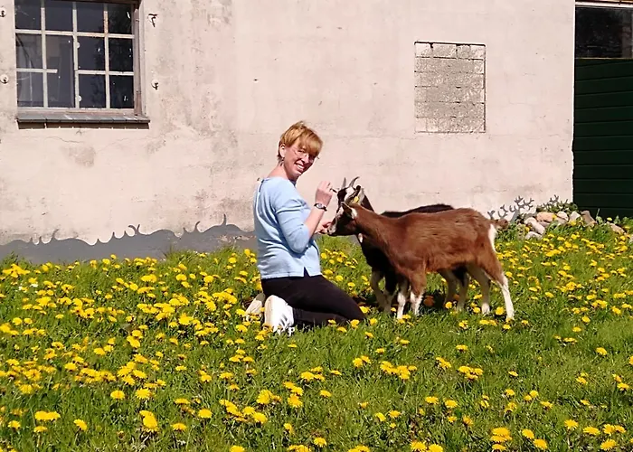 Apartment Hof Ruemland Hollingstedt